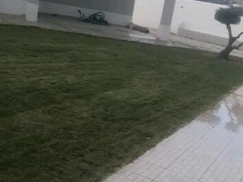 Limpezas de terrenos e abates de árvores 