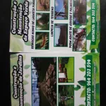 Limpezas de terrenos e abates de árvores  4