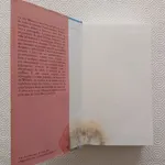 Os sete minutos de Irving Wallace - Mil folhas 4