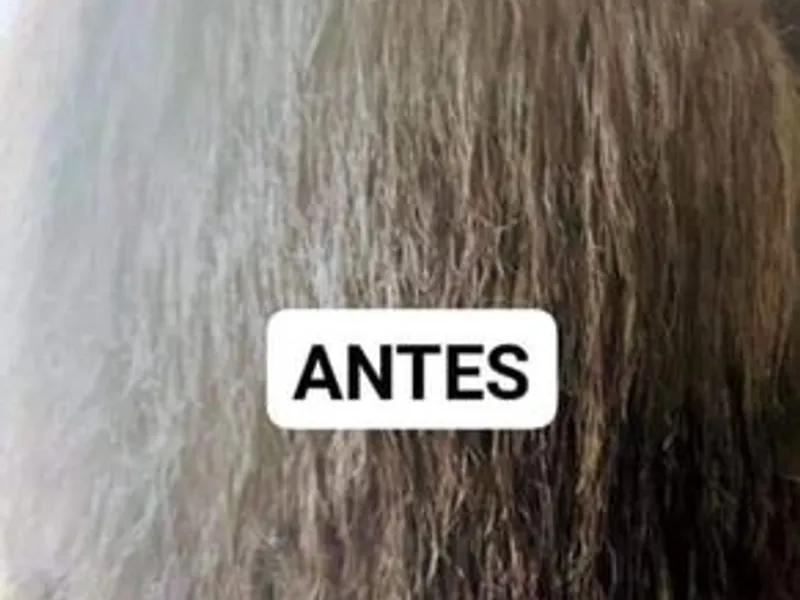 aplicaçao de extensões a domicílio 