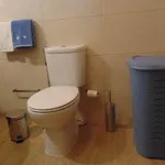 Albufeira Pet Friendly  4