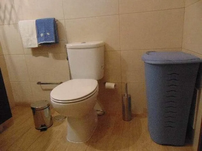 Albufeira Pet Friendly 