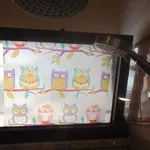 Albufeira Pet Friendly  5