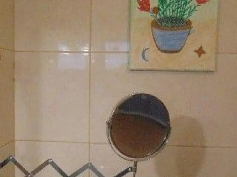 Albufeira Pet Friendly 