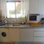 Albufeira Pet Friendly  8