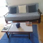 Albufeira Pet Friendly  9