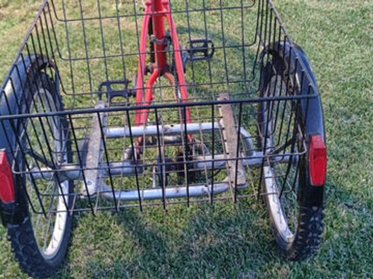 Triciclo - bicicleta de 3 rodas