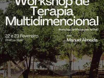 Workshop Terapia Multidimensional