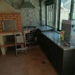 PINTOR , PINTURA A SUA MORADIA , APARTAMENTOS ETC  1