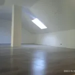 PINTOR , PINTURA A SUA MORADIA , APARTAMENTOS ETC  2