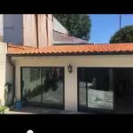 PINTOR , PINTURA A SUA MORADIA , APARTAMENTOS ETC  10