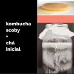 Kombucha scoby + starter Bio 1