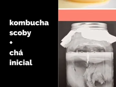 Kombucha scoby + starter Bio