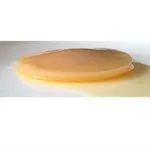 Kombucha scoby + starter Bio 2