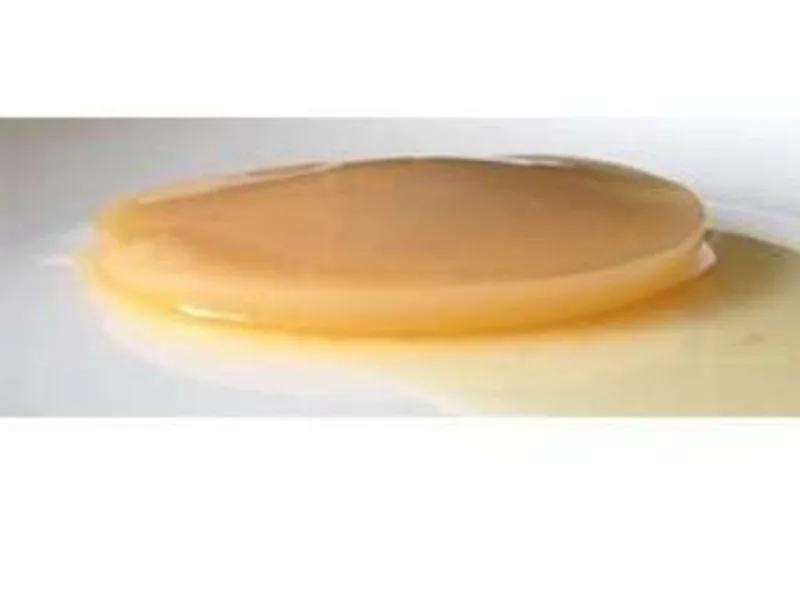 Kombucha scoby + starter Bio