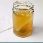 Kombucha scoby + starter Bio 3