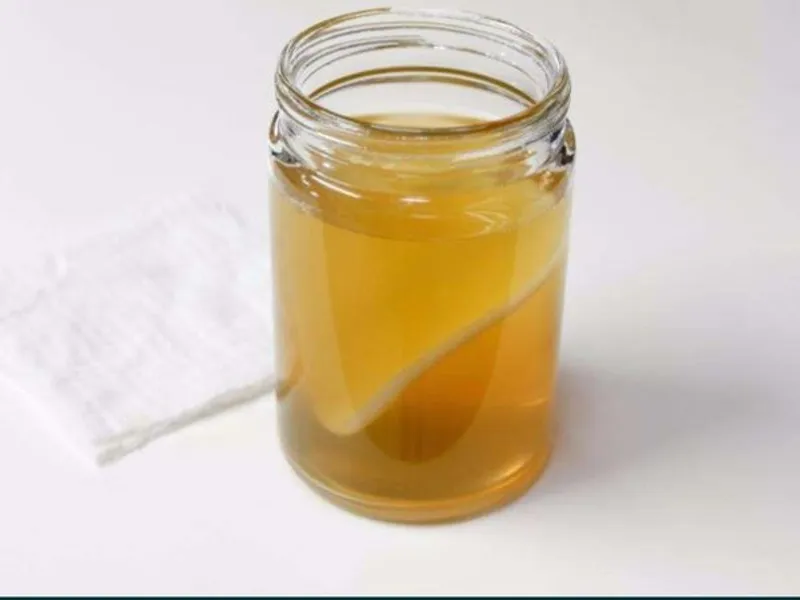 Kombucha scoby + starter Bio