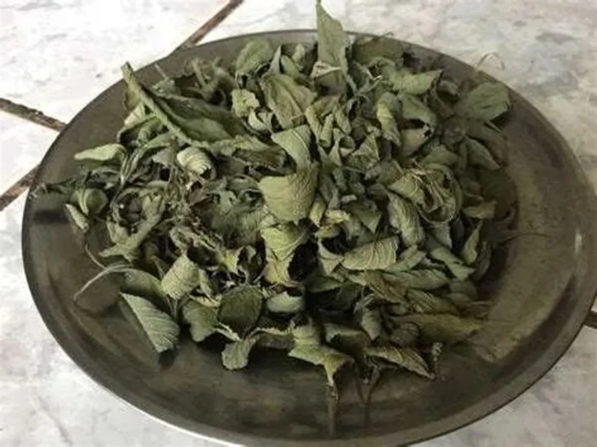 Erva Cidreira /Melissa officinalis Biológica Seca 