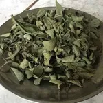 Erva Cidreira /Melissa officinalis Biológica Seca  2