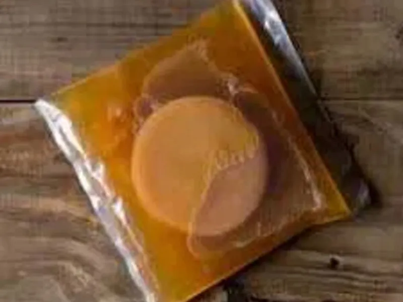 Kombucha scoby probiótico BIOLÓGICO +starter