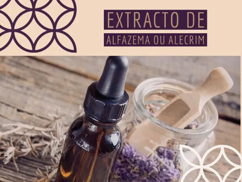 Tinturas de plantas / Extracto de plantas Alfazema