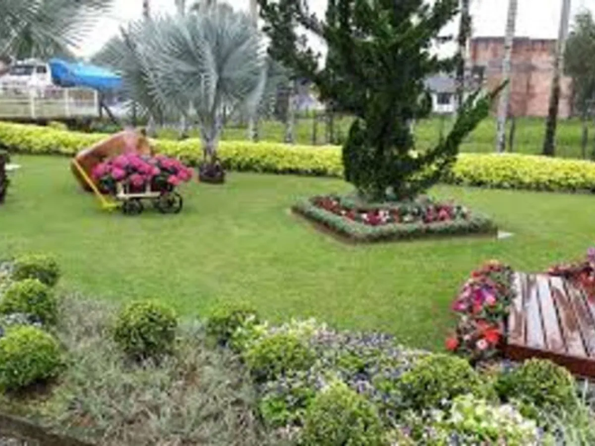 JARDINS E TERRENOS
