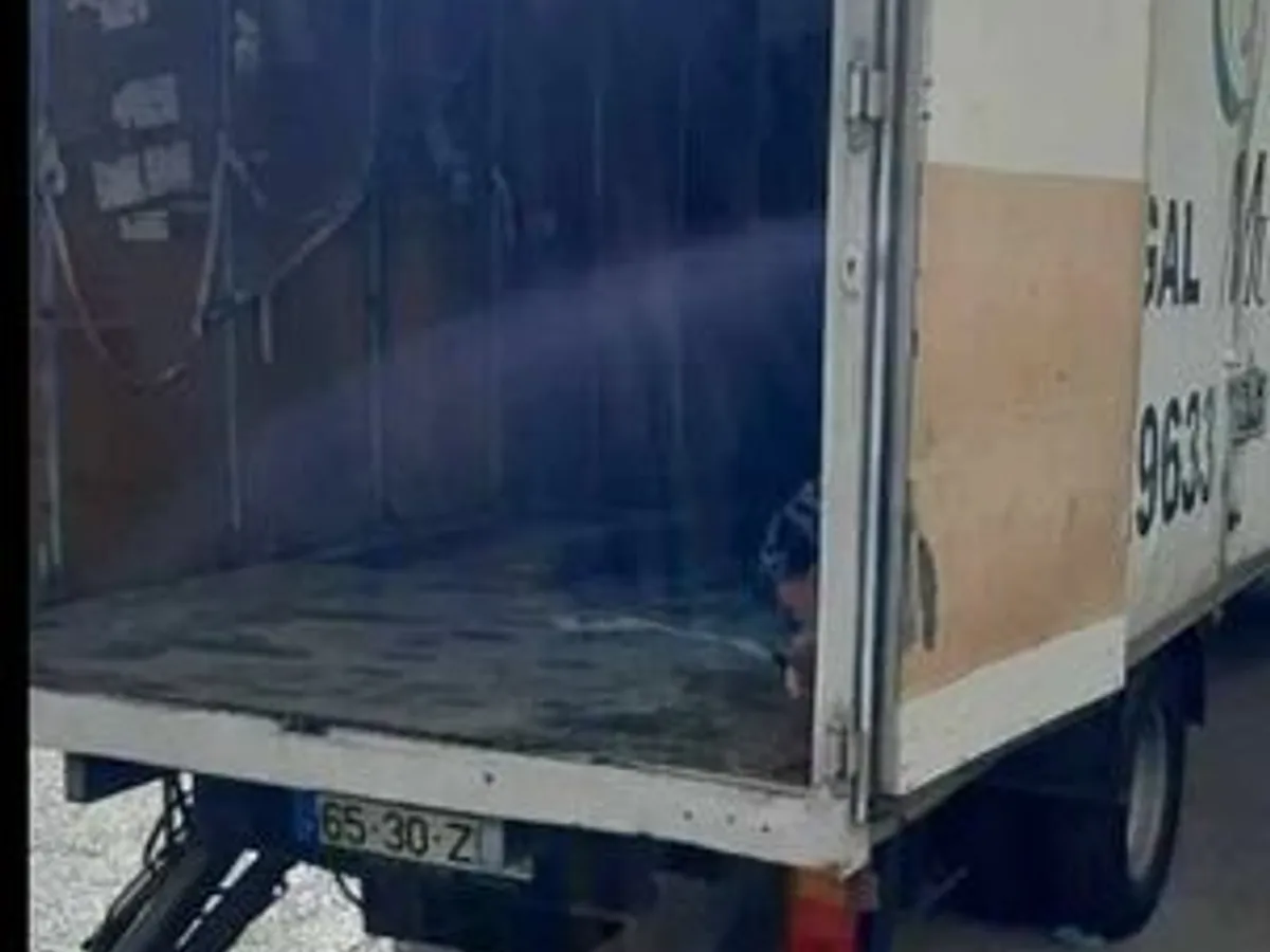 Transportadora Mudanças e Transporte distribuição 