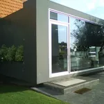 Pintor e tecto falso. 10