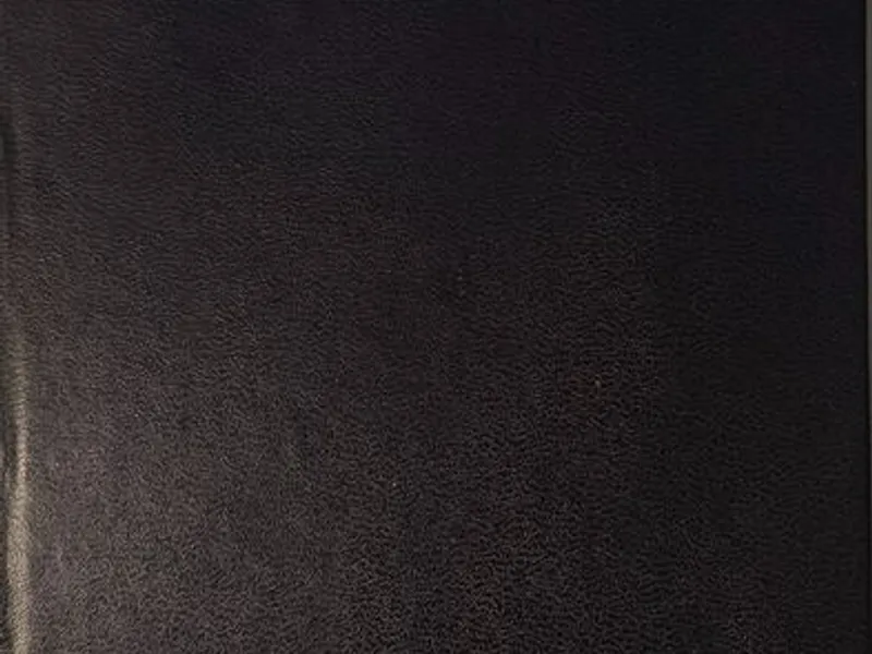 Um Dia na Vida de Ivan Denisovich