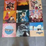 Lote 139 discos vinil 9
