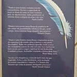 SINAIS - Joel Rothschild = 6 Euros 2