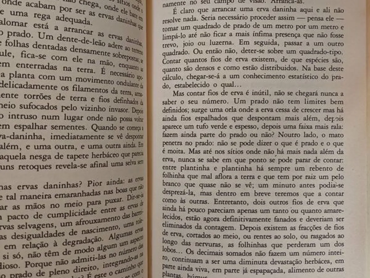 Palomar - Italo Calvino