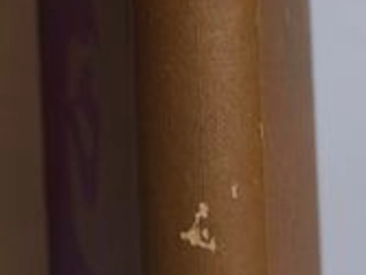 A Vida de Cleópatra - Auguste Bailly