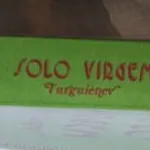 Solo Virgem - Turguiénev 3