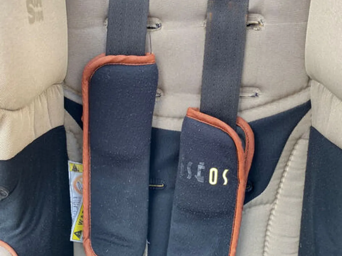 Cadeira Auto Bébé Confort ISÉOS Safe Side (Grupo 0