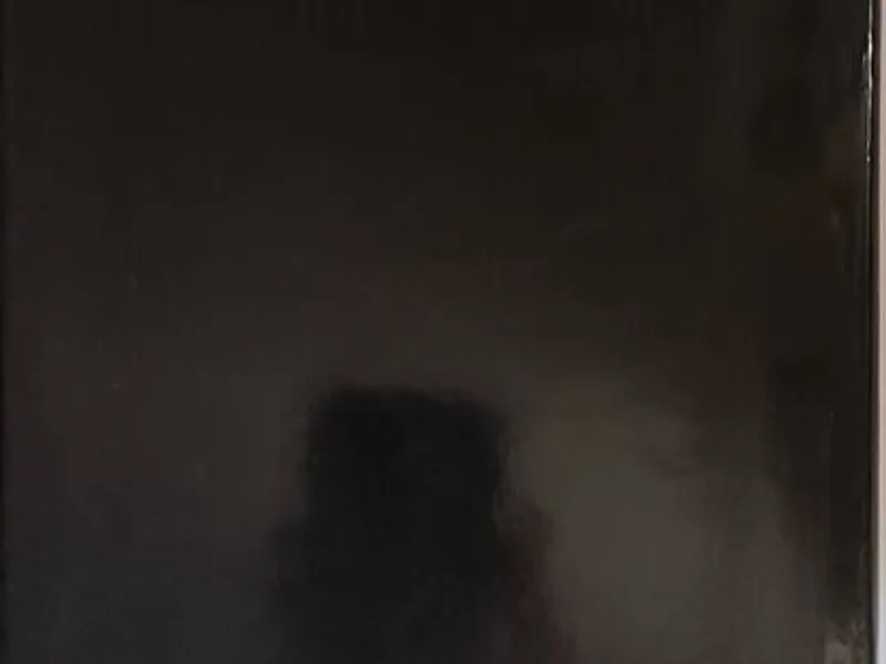 Meyer Lansky (O Patrão da Mafia)