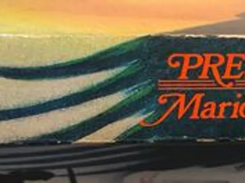 Presságio de Fogo - Marion Zimmer Bradley