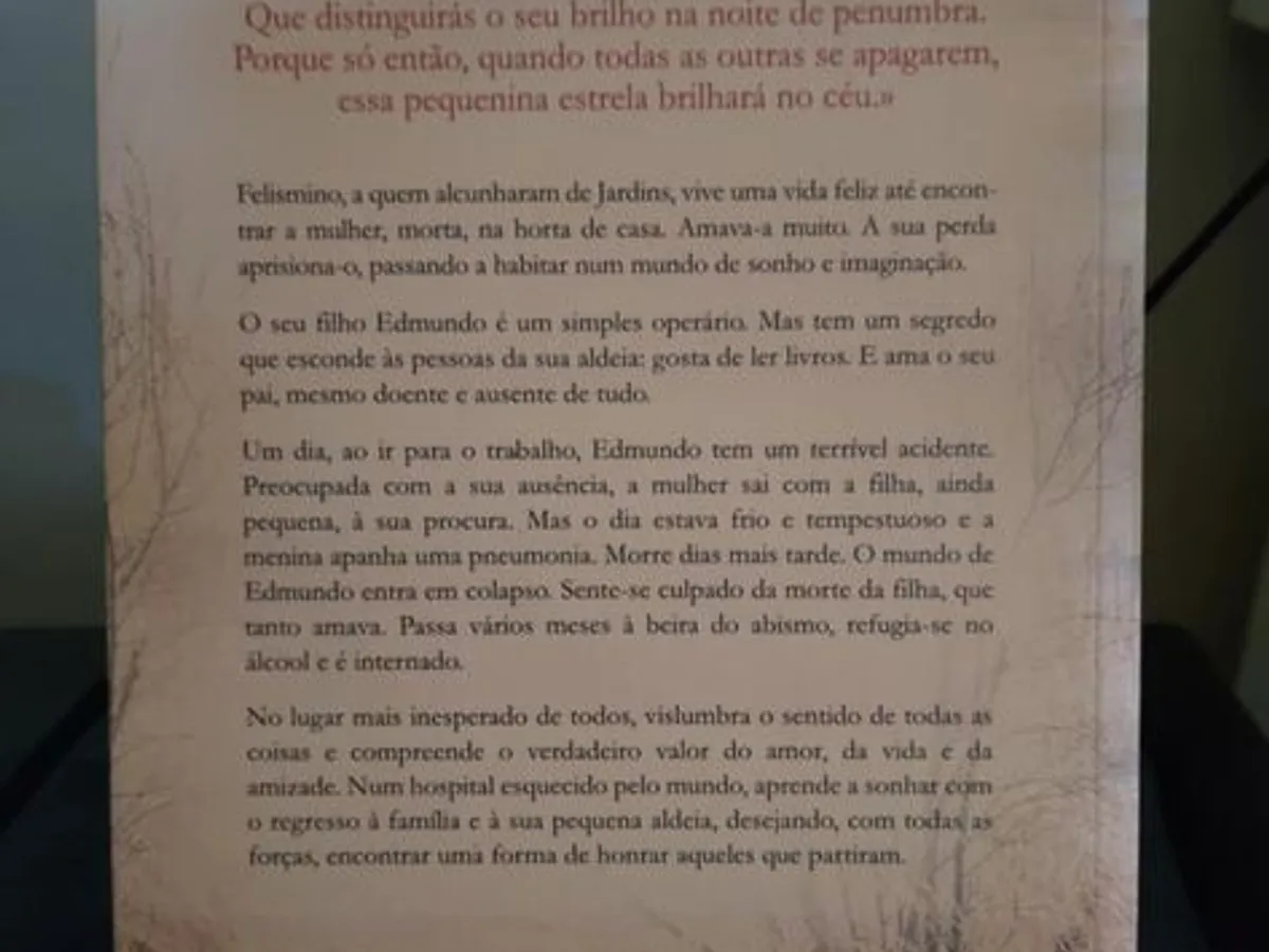Livro “Quando o Sol Brilha”