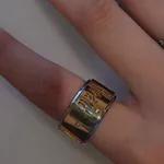 💍 Anel Giratório Dourado e Prateado Família 2