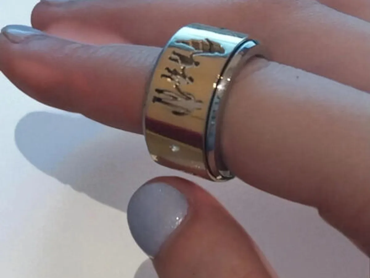 💍 Anel Giratório Dourado e Prateado Família