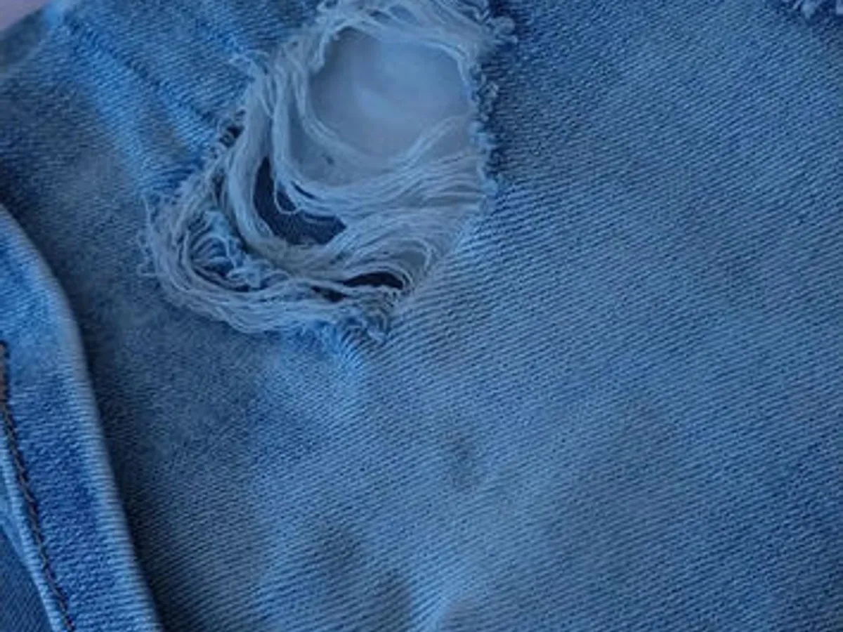 Calções Ganga Bordado Floral e Rasgões – T36