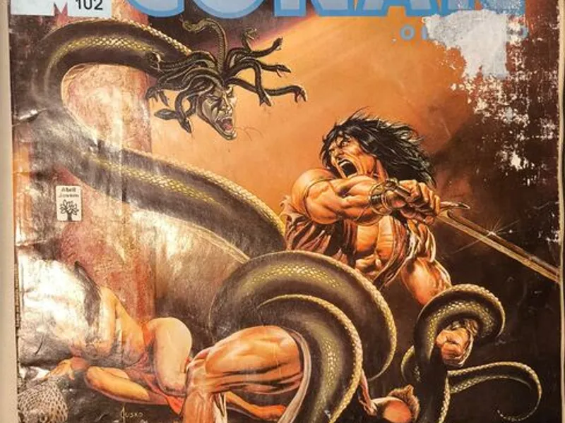 A Espada Selvagem de Conan (77 vols)