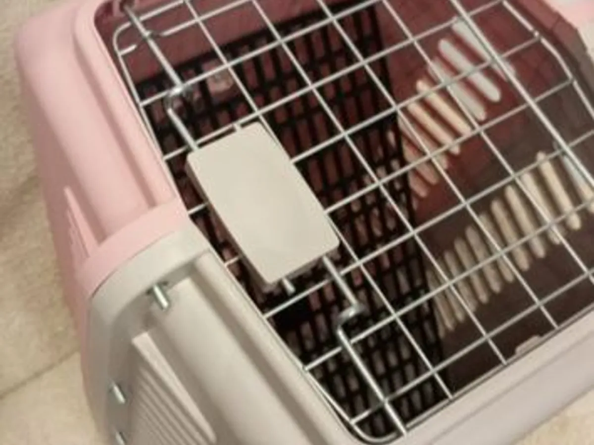 Box transporte de animais Rosa