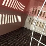 Box transporte de animais Rosa 5