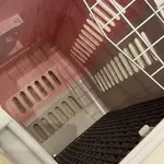 Box transporte de animais Rosa 6