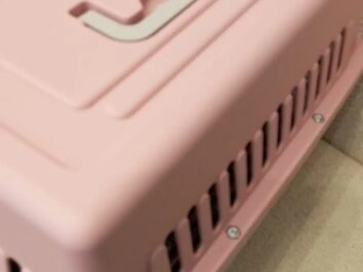 Box transporte de animais Rosa