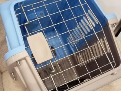 Box transporte de animais Azul