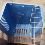 Box transporte de animais Azul 3