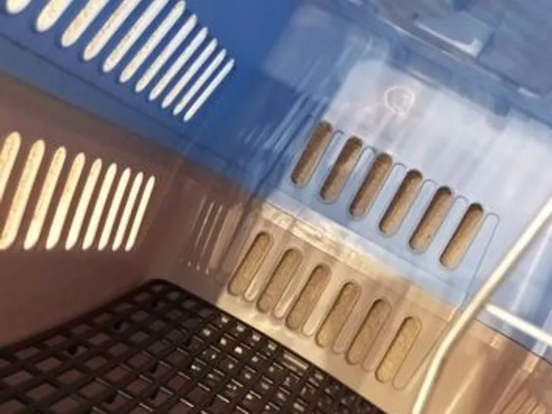 Box transporte de animais Azul