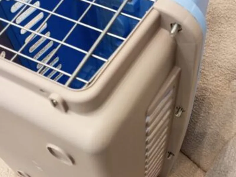 Box transporte de animais Azul